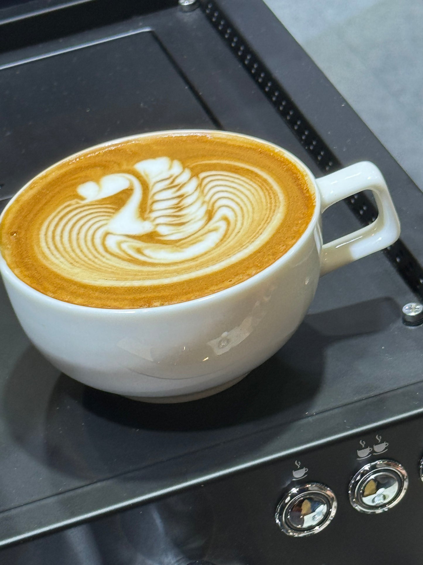 WPM 8oz Latte Art Cup